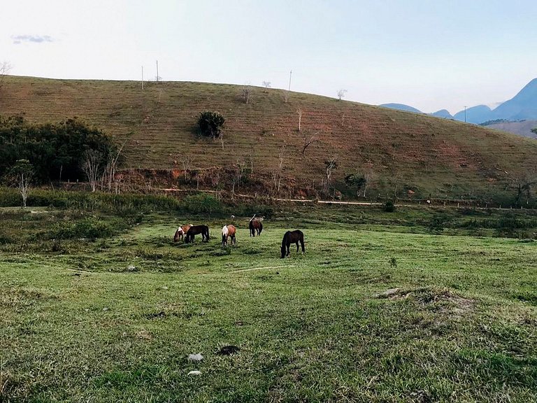 Idyllic farm in Secretario