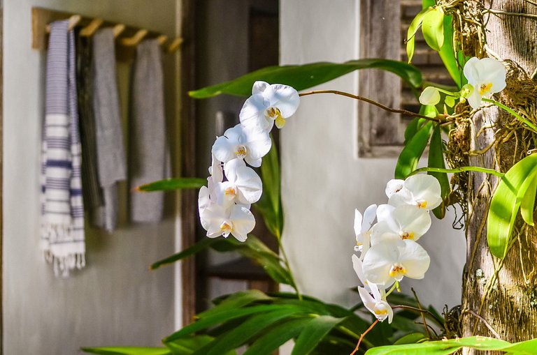 Charmosa e privativa casa em Trancoso - Trc023