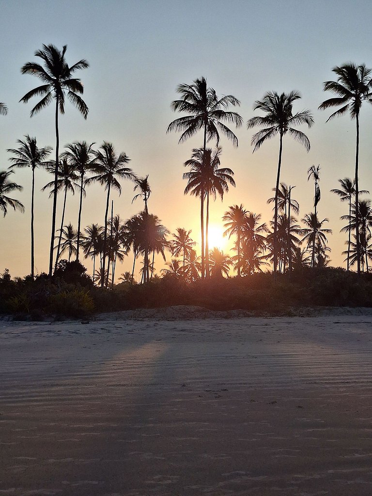 Вид на море и дизайн в природе - Srg001