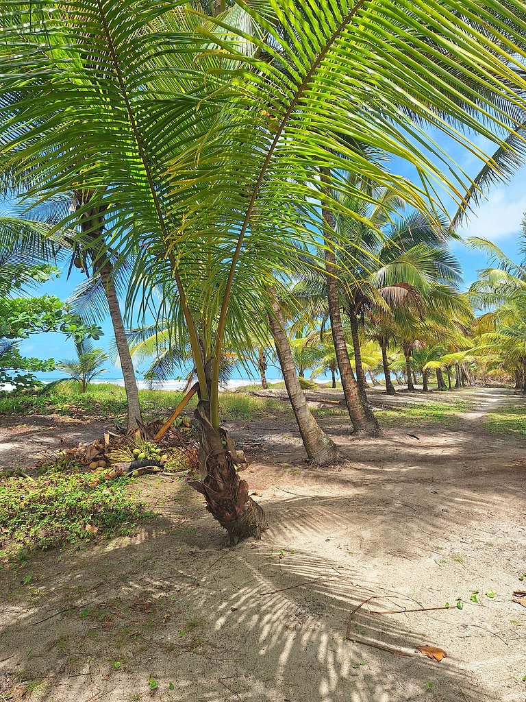 Vista al Mar y Diseño en la Naturaleza