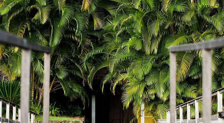 Paraíso Privado en Angra dos Reis - Ang035