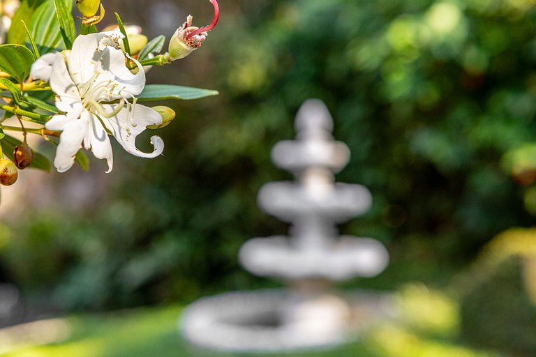 Refúgio luxuoso em São Conrado - Sco012