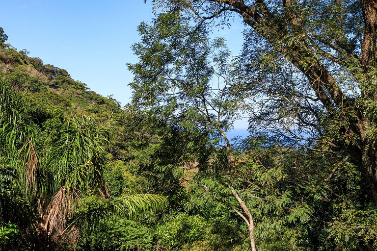 Refúgio luxuoso em São Conrado - Sco012