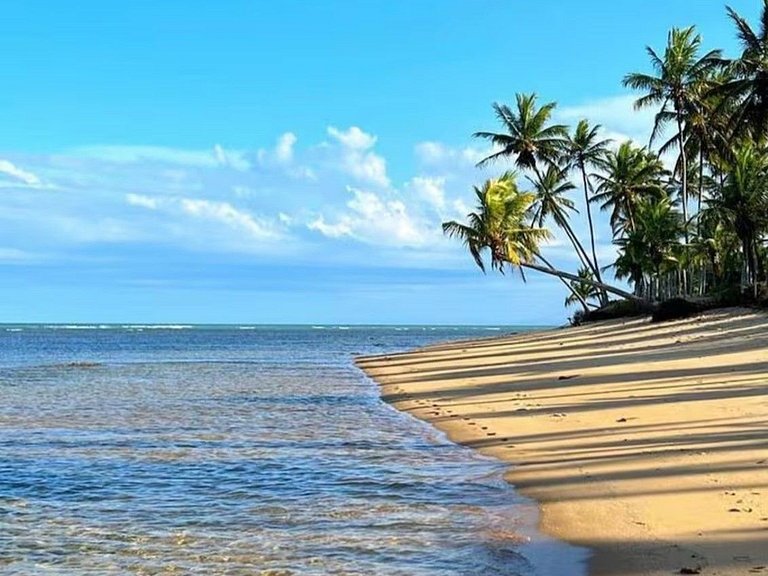 Charmosa casa com piscina em Trancoso - Trc127