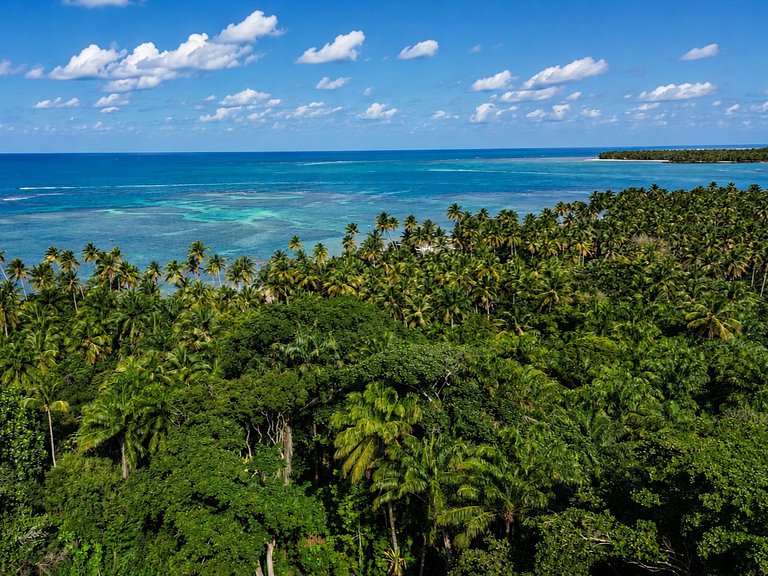 Alquiler de lujo en Boipeba