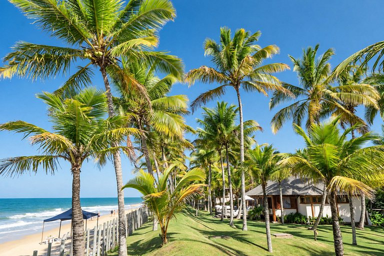 Элитная аренда в Trancoso