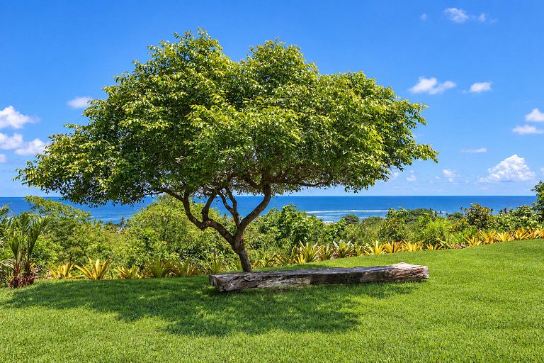 Location de luxe à Trancoso